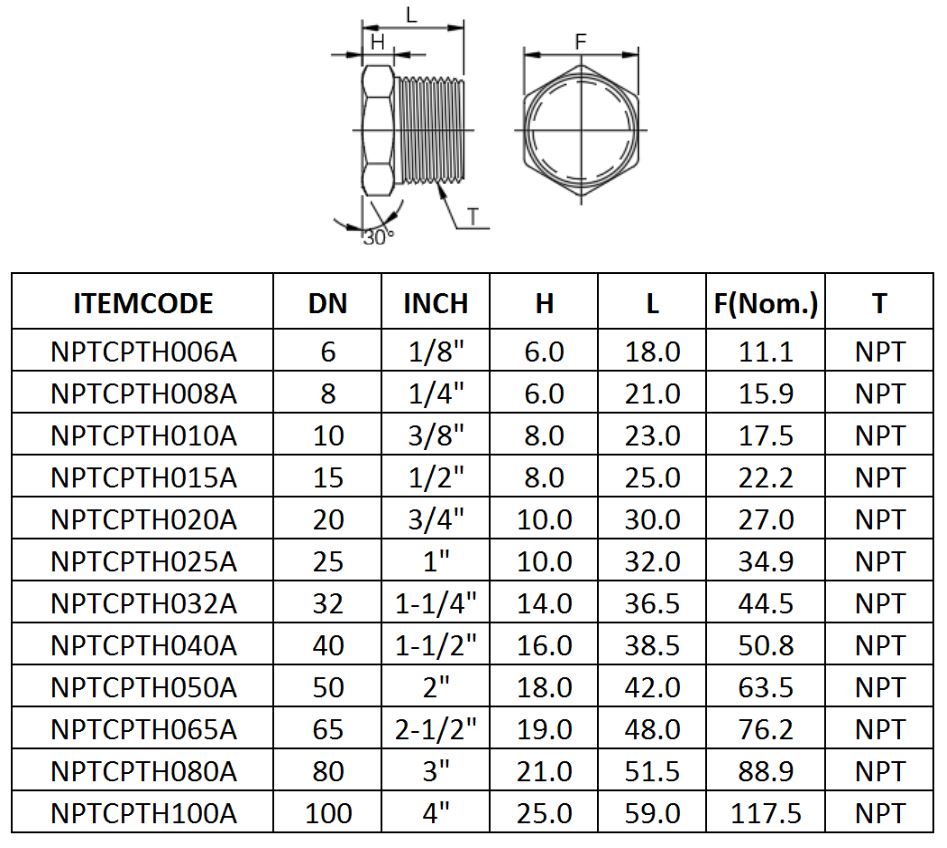 NPT Hex Plug Dimensions